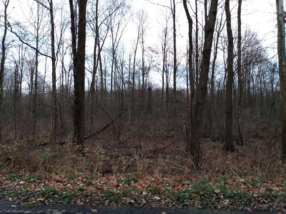 14.95 Acres of Recreational Land for Sale in Tekonsha, Michigan