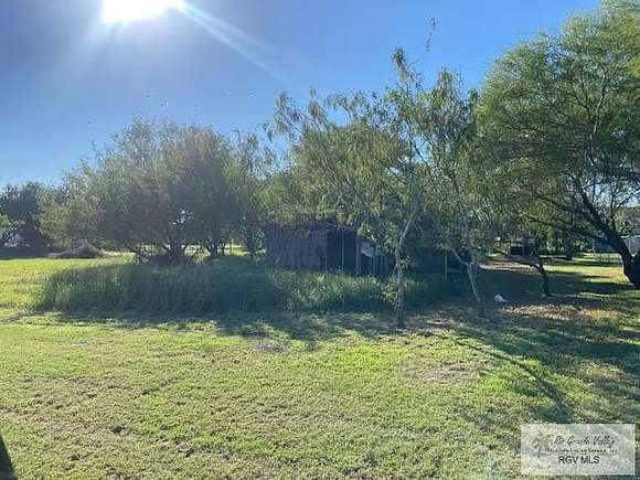 0.207 Acres of Residential Land for Sale in San Perlita, Texas