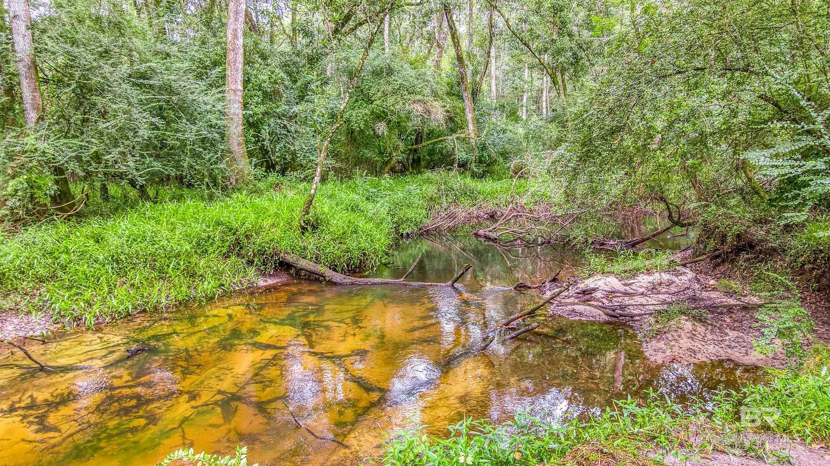 22 Acres of Recreational Land for Sale in Robertsdale, Alabama