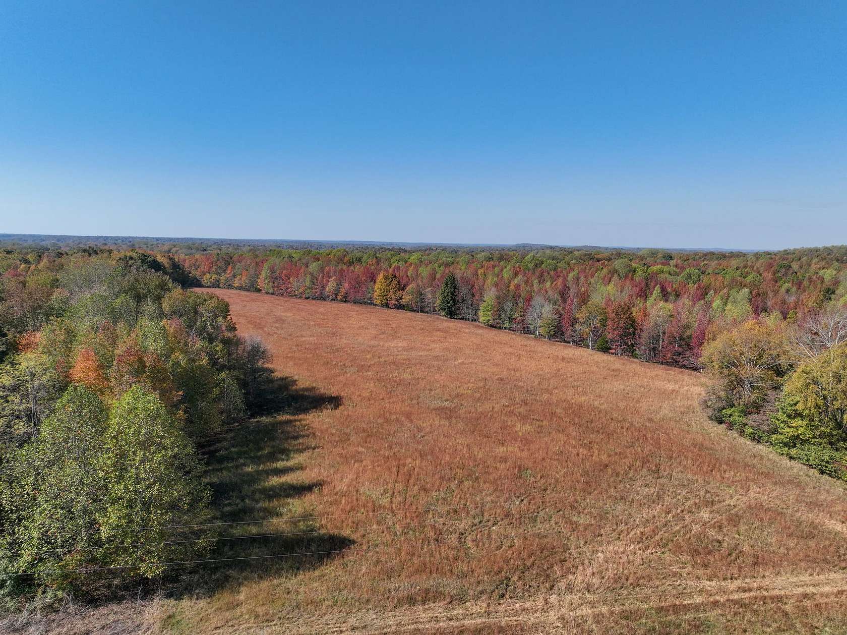 11 Acres of Recreational Land & Farm for Sale in Lynnville, Tennessee