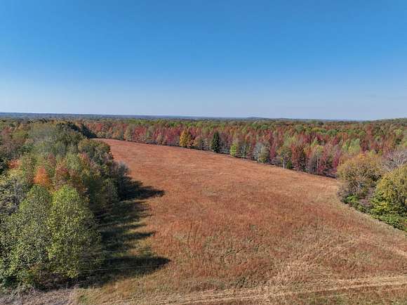 11 Acres of Recreational Land & Farm for Sale in Lynnville, Tennessee