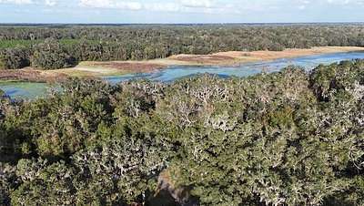 1.17 Acres of Residential Land for Sale in Chiefland, Florida