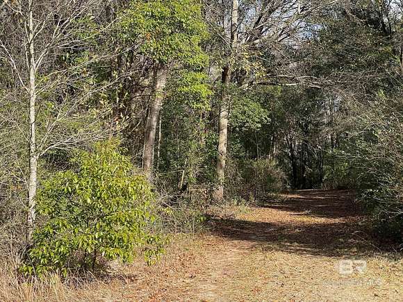 60 Acres of Land for Sale in Fairhope, Alabama