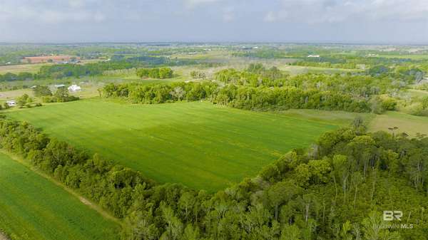 60 Acres of Land for Sale in Fairhope, Alabama