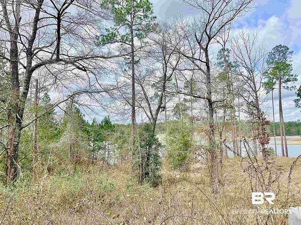 0.94 Acres of Residential Land for Sale in Brewton, Alabama