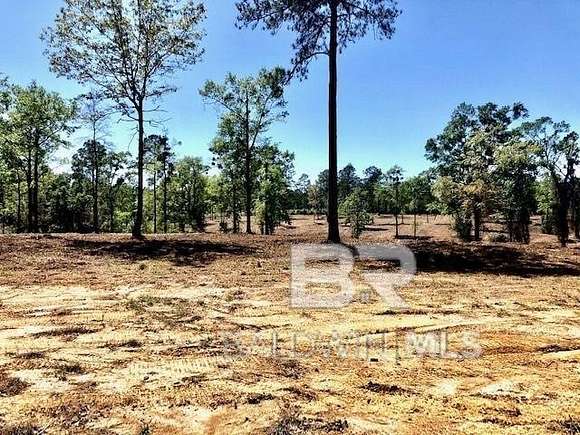 19.5 Acres of Land for Sale in Bay Minette, Alabama