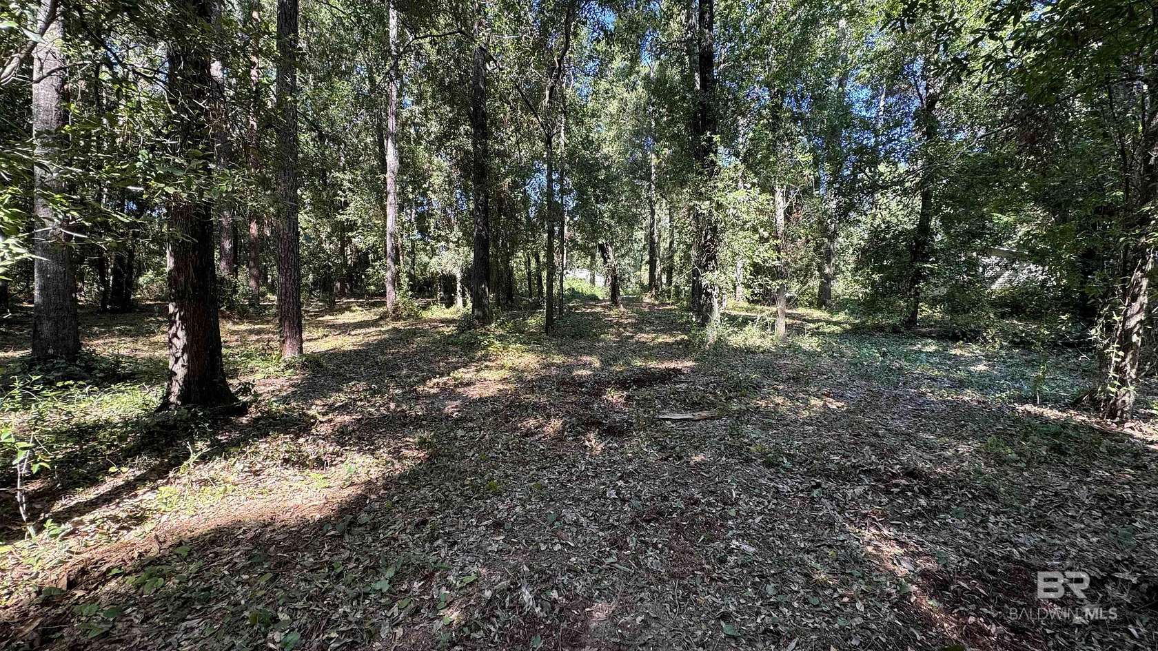 Residential Land for Sale in Lillian, Alabama