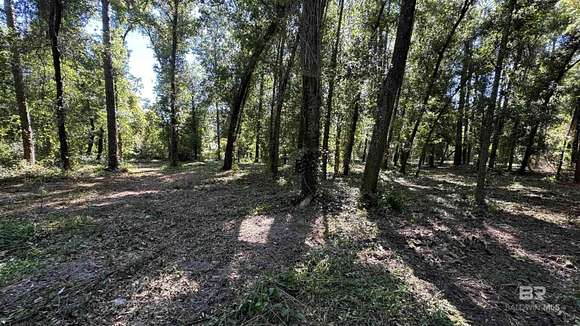 Residential Land for Sale in Lillian, Alabama