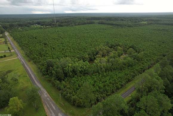 49 Acres of Recreational Land for Sale in Robertsdale, Alabama