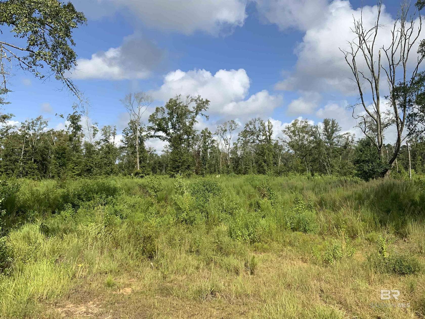 19.5 Acres of Land for Sale in Bay Minette, Alabama