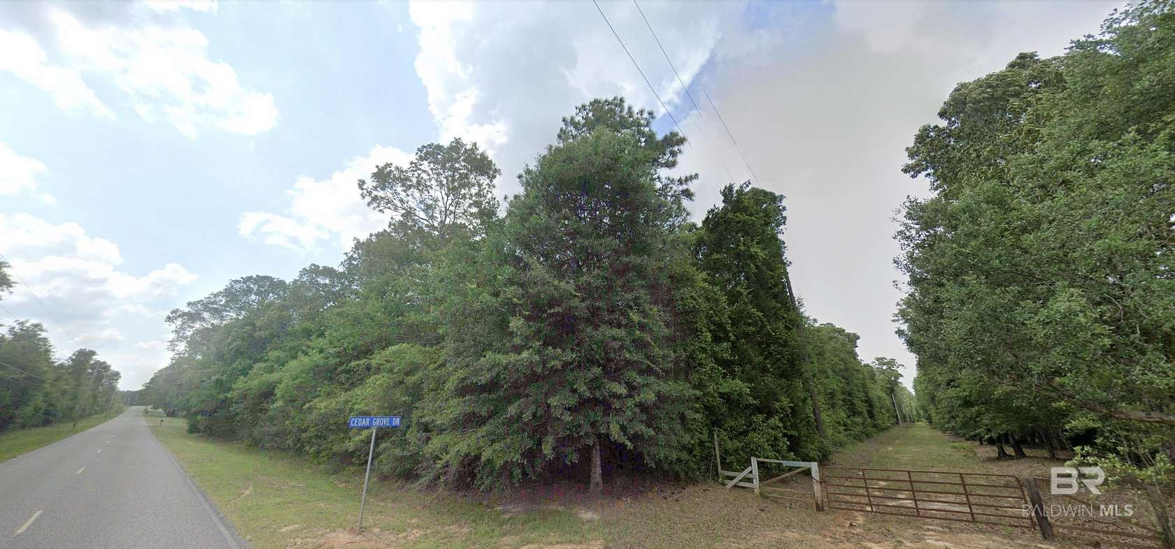 20 Acres of Land for Sale in Stapleton, Alabama