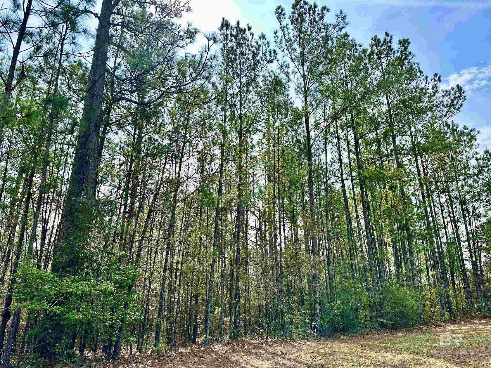 0.45 Acres of Residential Land for Sale in Brewton, Alabama