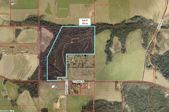 76 Acres of Recreational Land for Sale in Robertsdale, Alabama