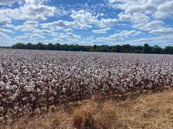 280 Acres of Agricultural Land for Sale in Star City, Arkansas