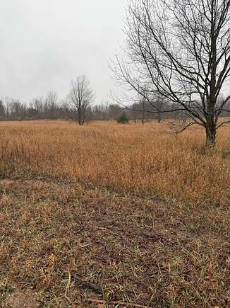 5 Acres of Residential Land for Sale in Kaleva, Michigan