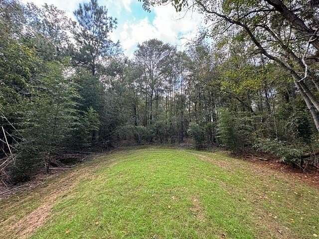 74.23 Acres of Recreational Land for Sale in Amite, Louisiana