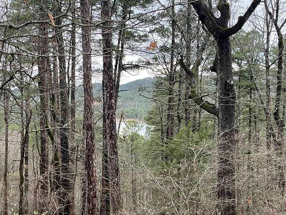 0.32 Acres of Residential Land for Sale in Hot Springs Village, Arkansas