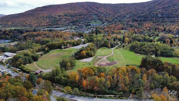 11.74 Acres of Land for Sale in Windham, New York