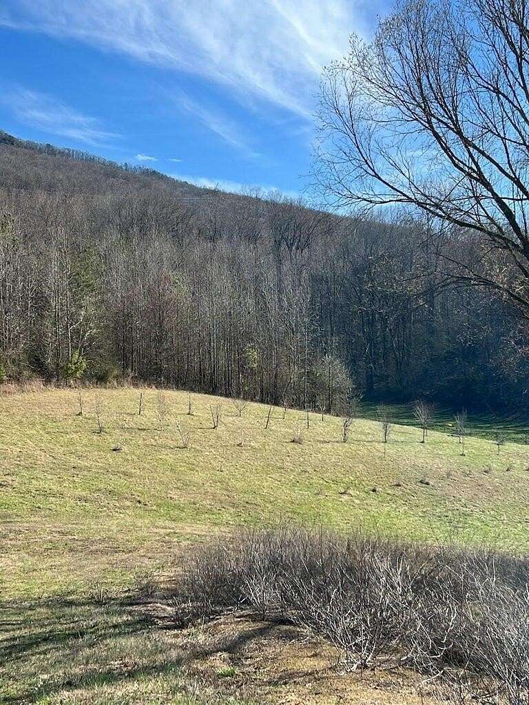 53.34 Acres of Land for Sale in Whitwell, Tennessee