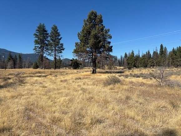 26 Acres of Recreational Land for Sale in Macdoel, California - LandSearch