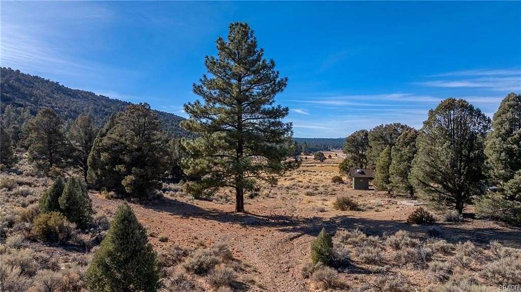 10 Acres of Recreational Land for Sale in Big Bear City, California