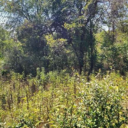 18 Acres of Land for Sale in Pomeroy, Ohio