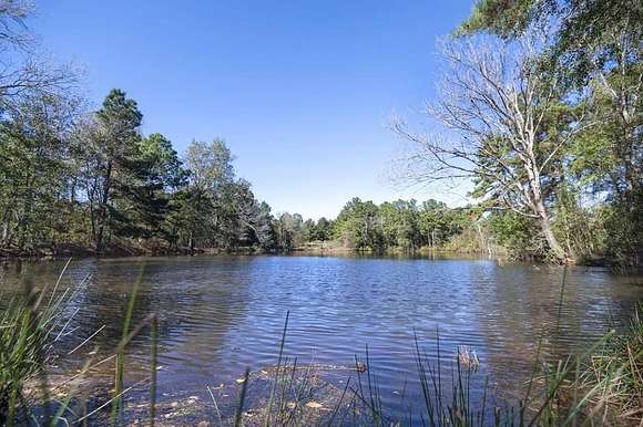 282.13 Acres of Recreational Land & Farm for Sale in Timpson, Texas