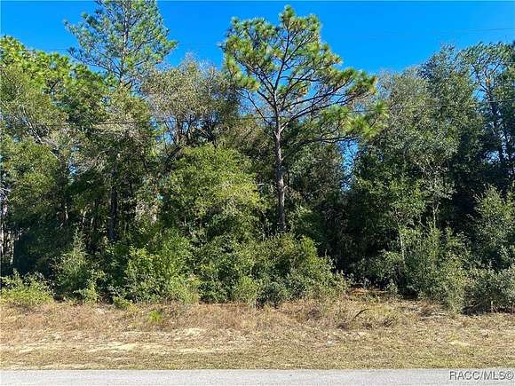 0.24 Acres of Land for Sale in Dunnellon, Florida