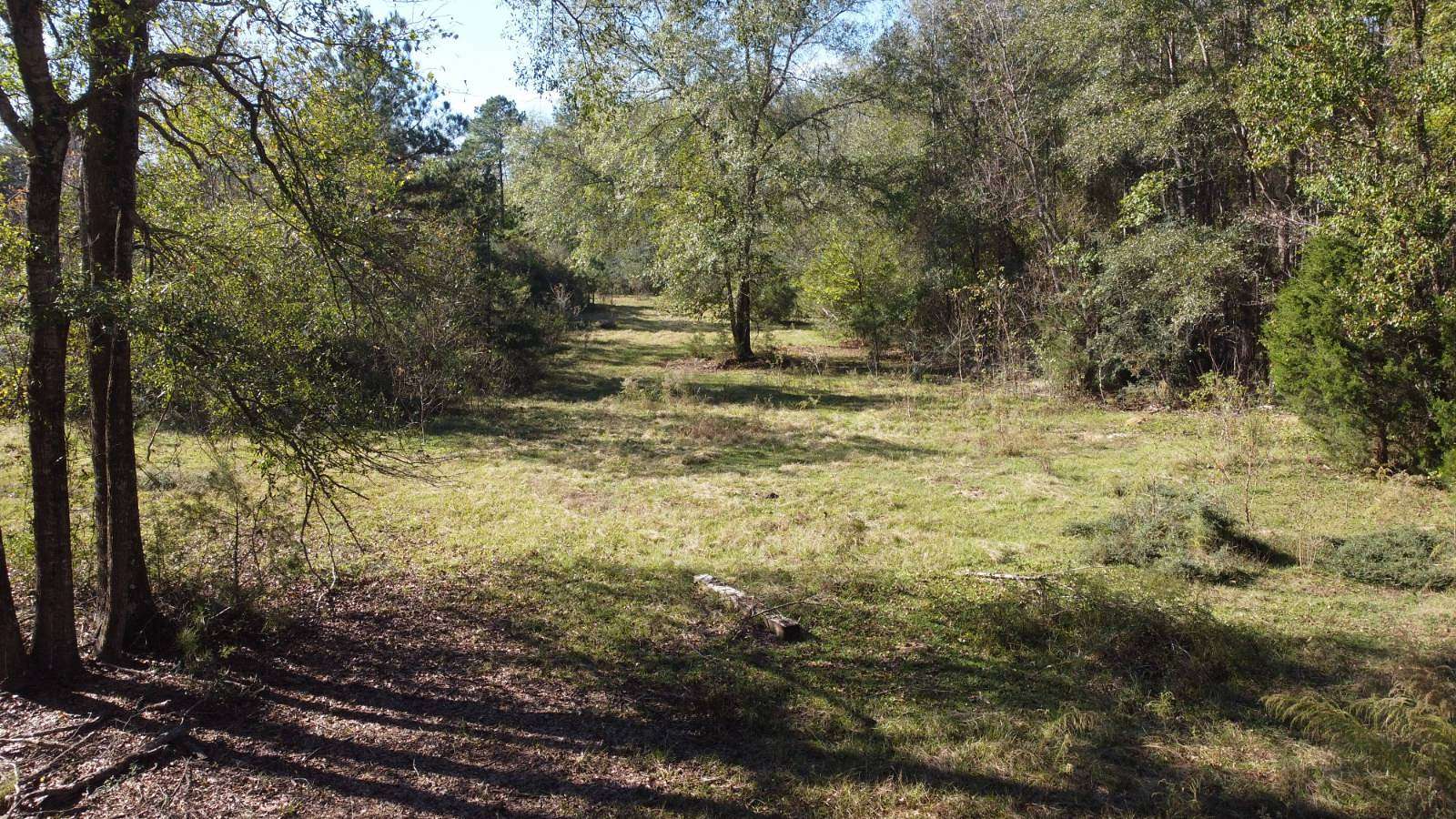 7.98 Acres of Land for Sale in Ringgold, Louisiana