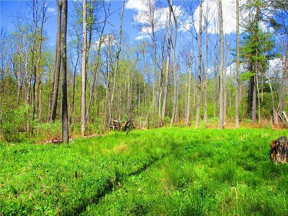 1.16 Acres of Residential Land for Sale in Middlefield, New York