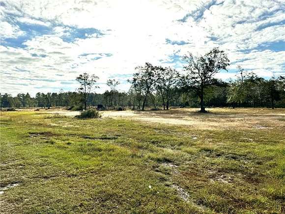 14.19 Acres of Land for Sale in Waycross, Georgia