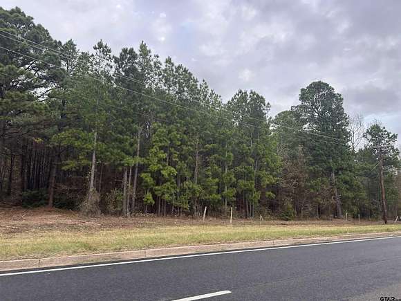 64 Acres of Land for Sale in Tyler, Texas