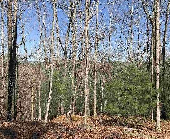 0.6 Acres of Land for Sale in Ellijay, Georgia