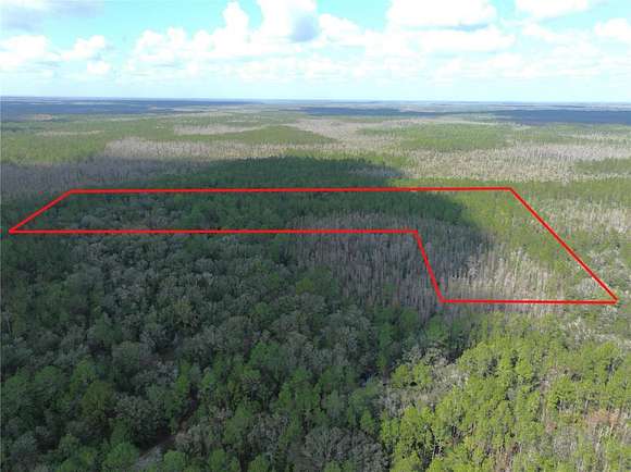 6.5 Acres of Residential Land for Sale in Clermont, Florida