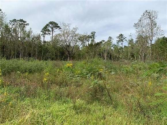 1.093 Acres of Residential Land for Sale in Lacombe, Louisiana