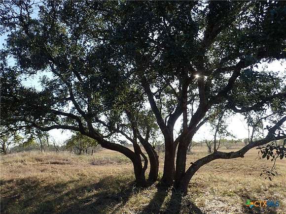 10.218 Acres of Improved Land for Sale in Harwood, Texas