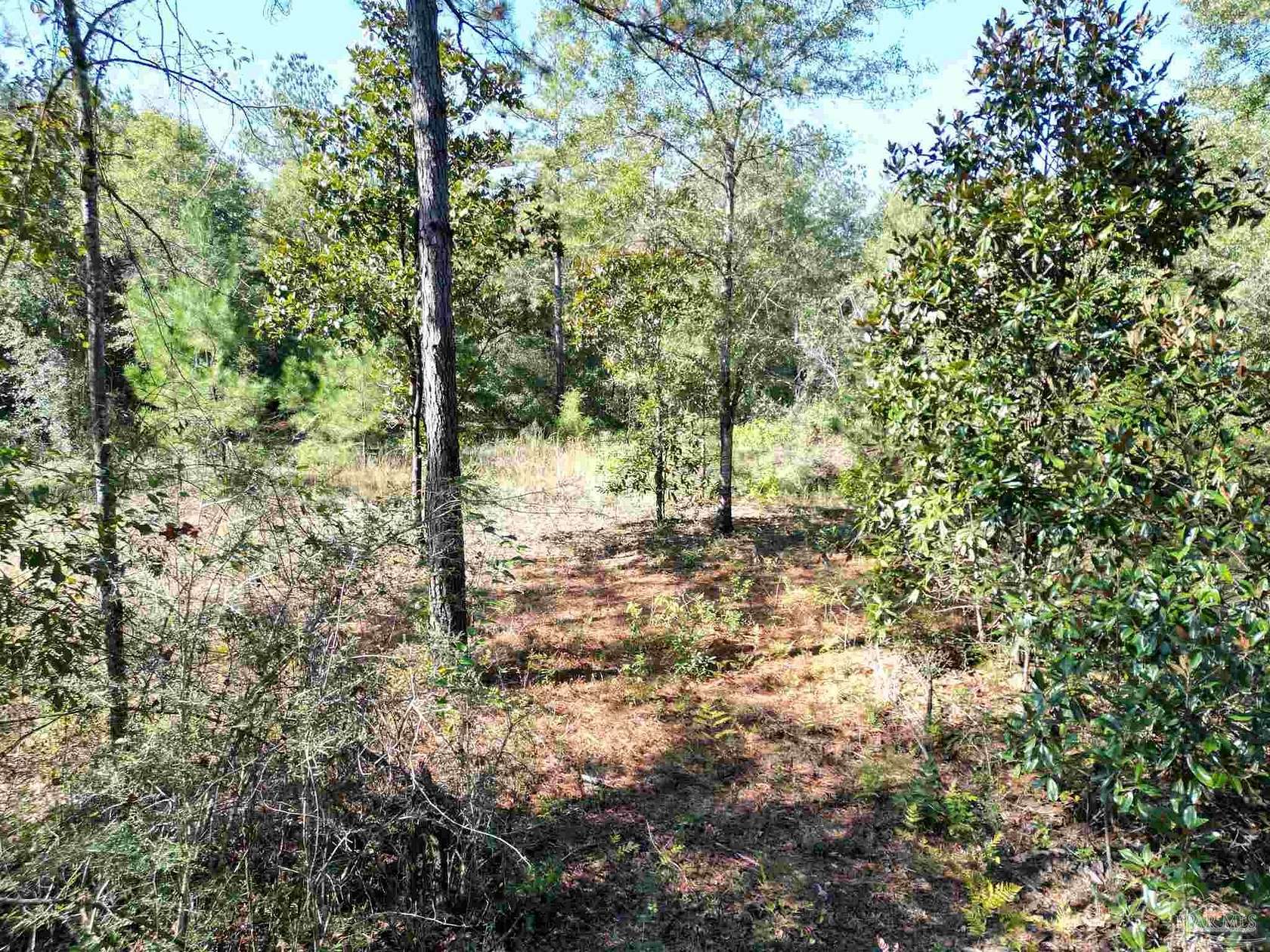 11 Acres of Recreational Land for Sale in Flomaton, Alabama