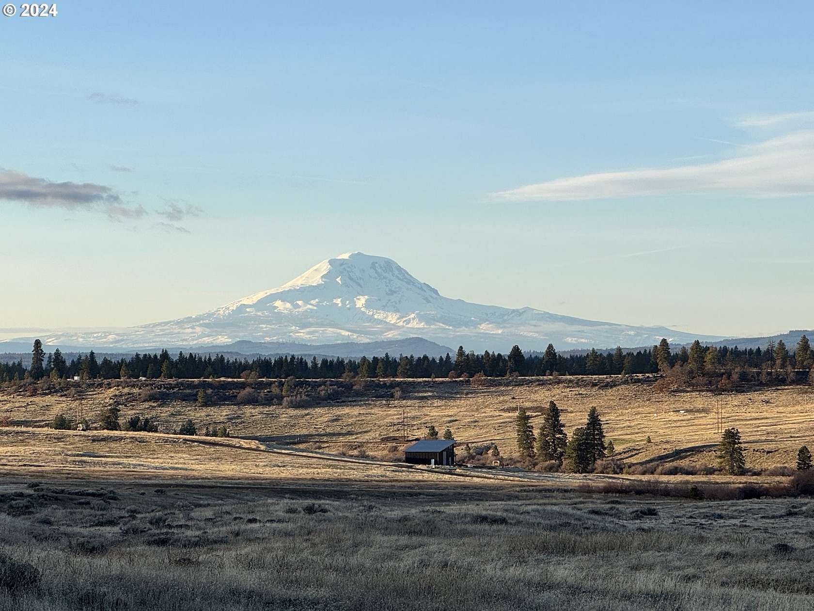 20 Acres of Land for Sale in Centerville, Washington