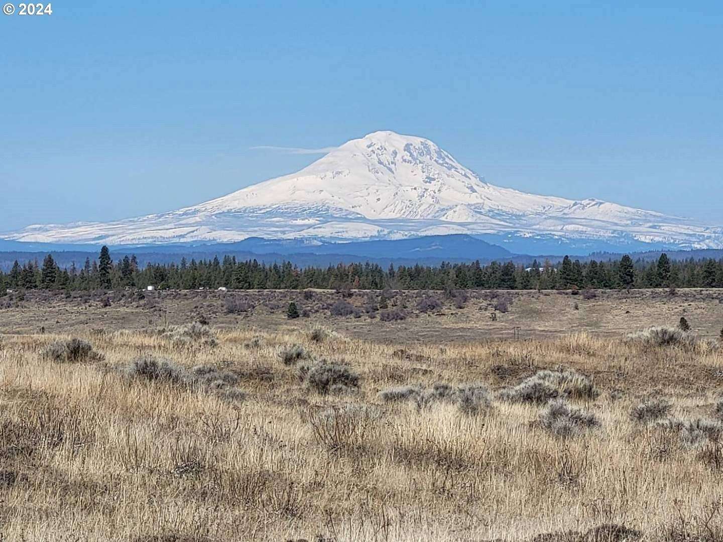 20 Acres of Agricultural Land for Sale in Goldendale, Washington