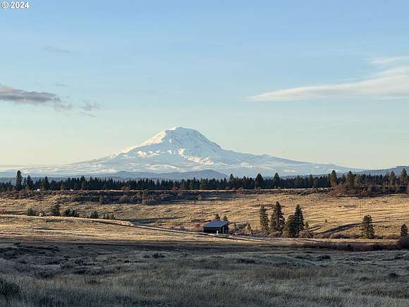 20 Acres of Land for Sale in Goldendale, Washington