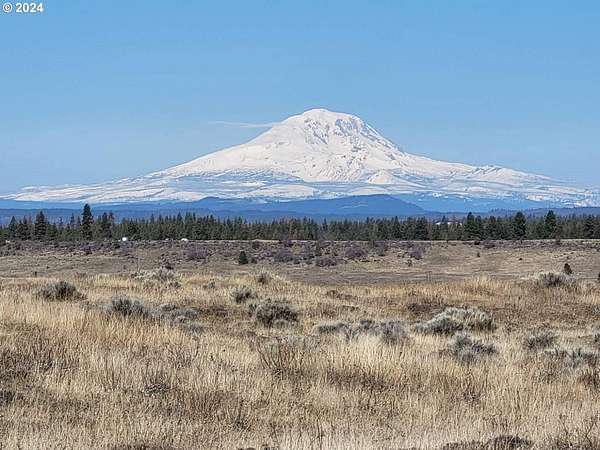 20 Acres of Agricultural Land for Sale in Goldendale, Washington