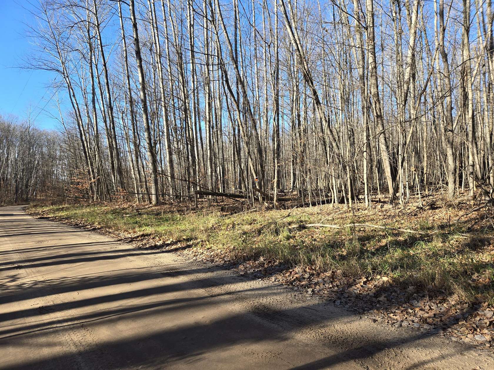 10 Acres of Recreational Land for Sale in Gaylord, Michigan