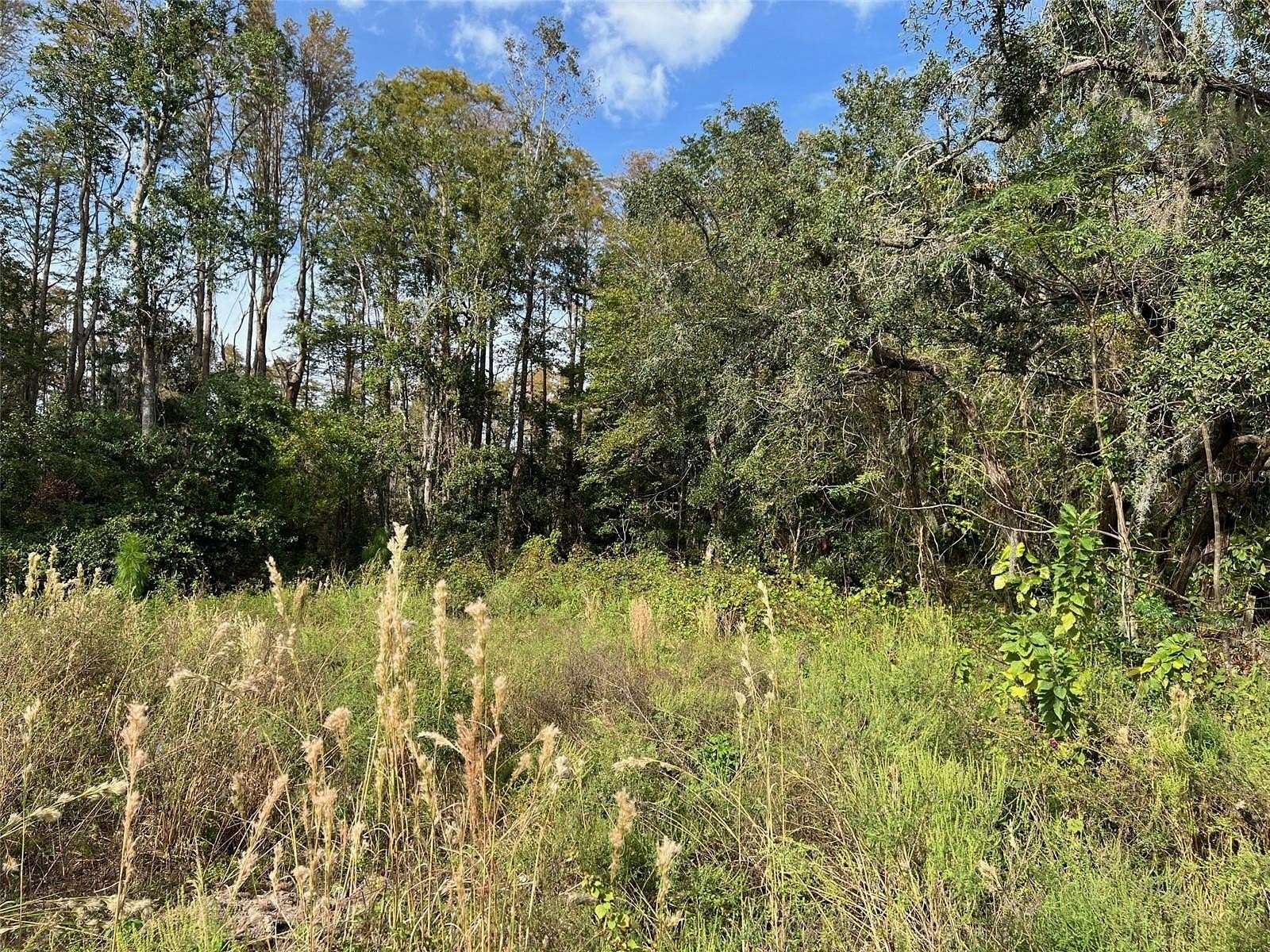 0.18 Acres of Land for Sale in New Port Richey, Florida