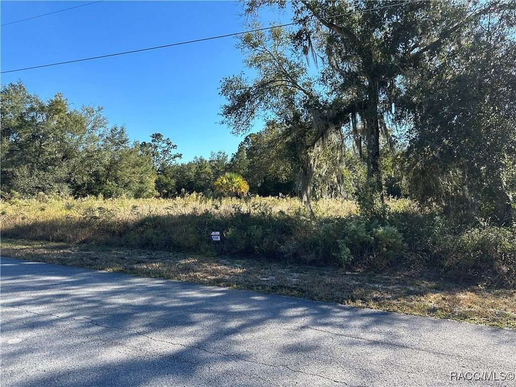 0.99 Acres of Residential Land for Sale in Dunnellon, Florida