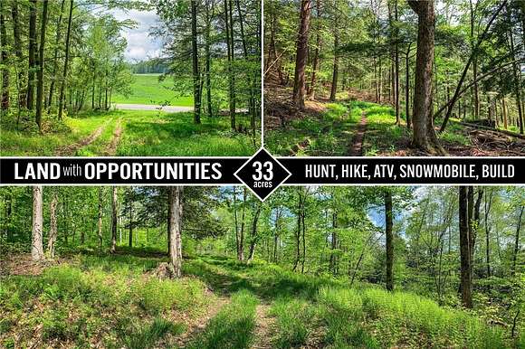 32.948 Acres of Recreational Land for Sale in Sidney, New York