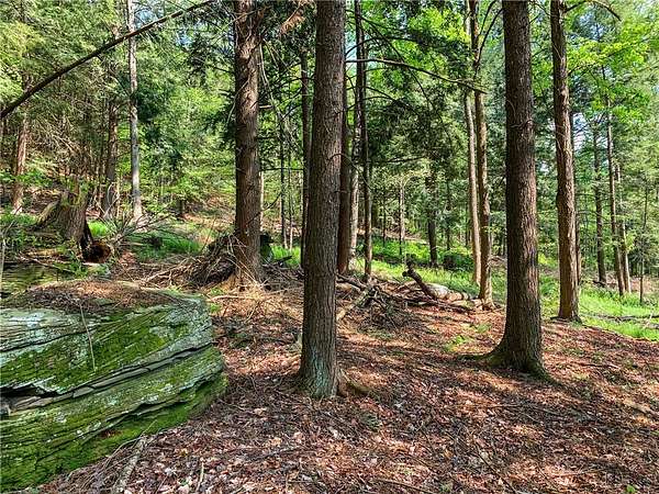 33 Acres of Recreational Land for Sale in Unadilla, New York