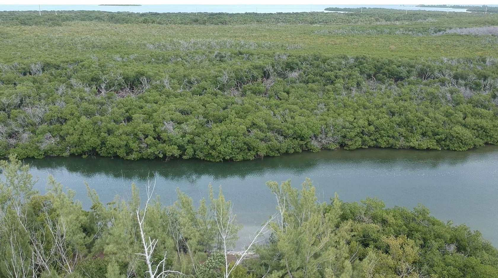 Residential Land for Sale in Marathon, Florida