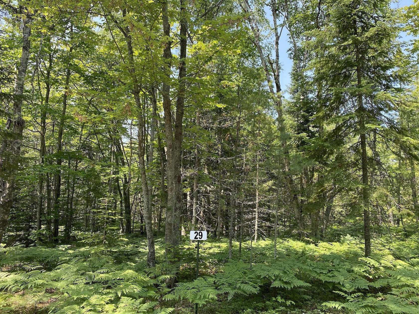 0.58 Acres of Residential Land for Sale in Paradise, Michigan