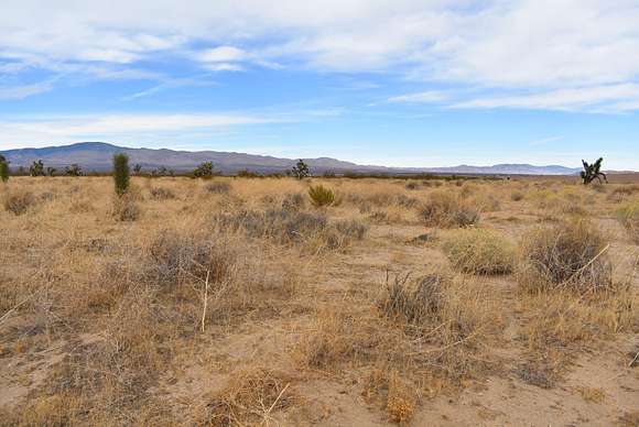 Land for Sale in Rosamond, California