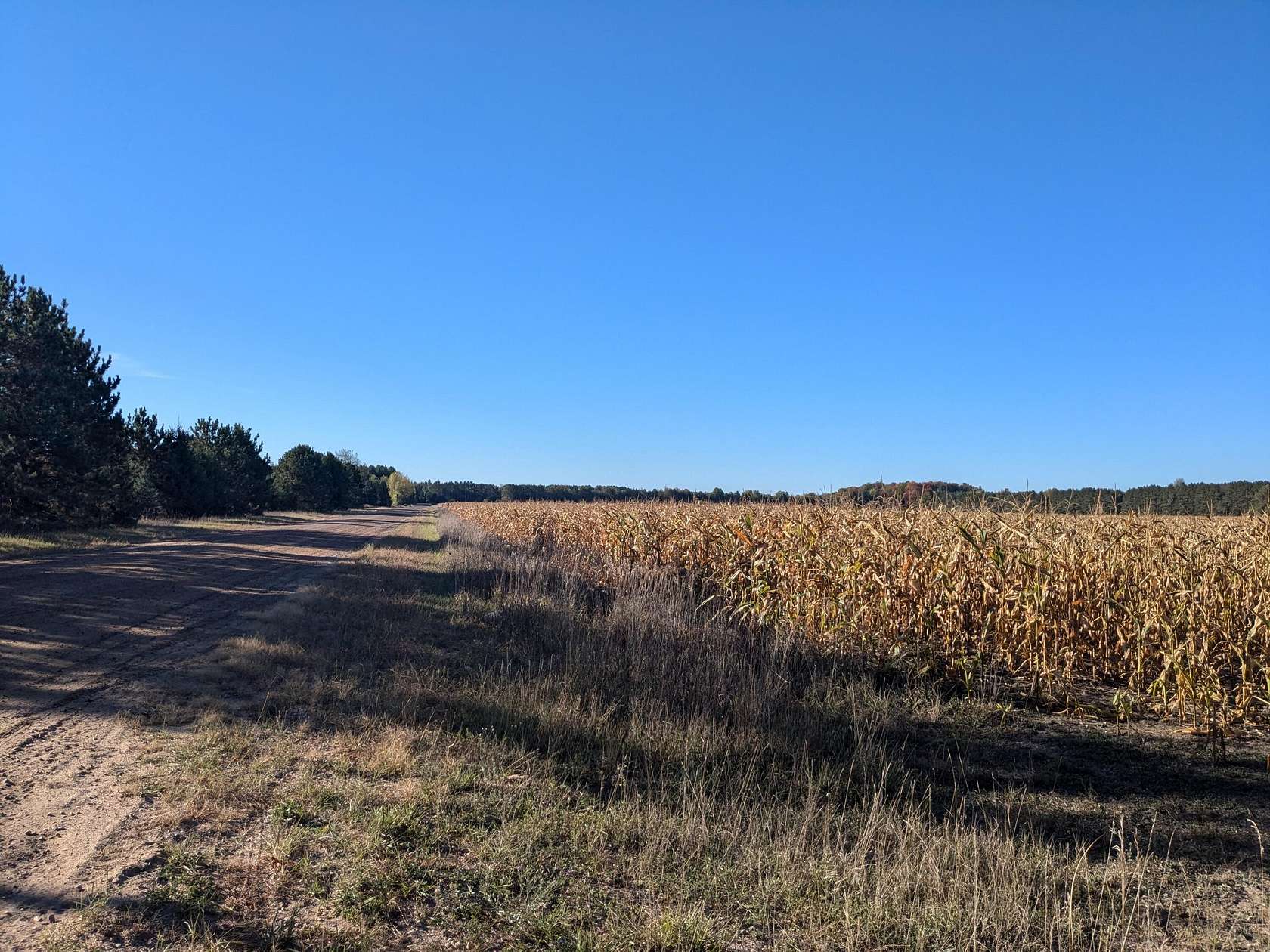 10.3 Acres of Land for Sale in Kaleva, Michigan